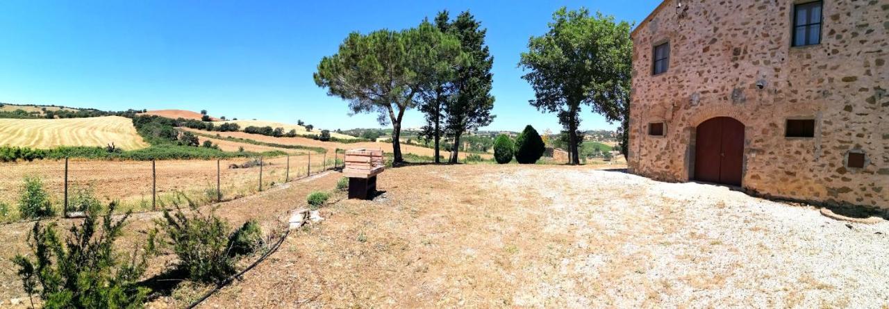 Agriturismo Boschetto Di Montiano Montiano  Kültér fotó