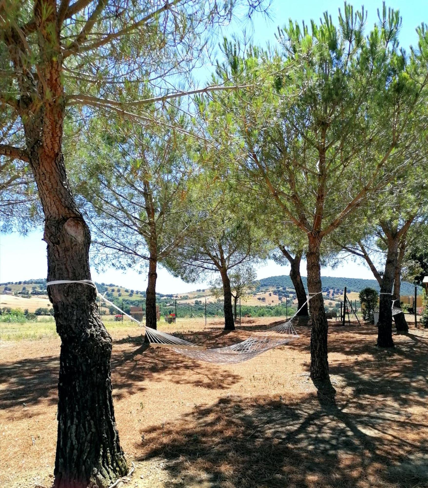 Agriturismo Boschetto Di Montiano Montiano  Szoba fotó
