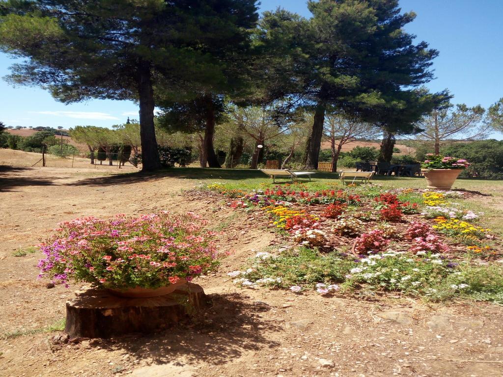 Agriturismo Boschetto Di Montiano Montiano  Kültér fotó