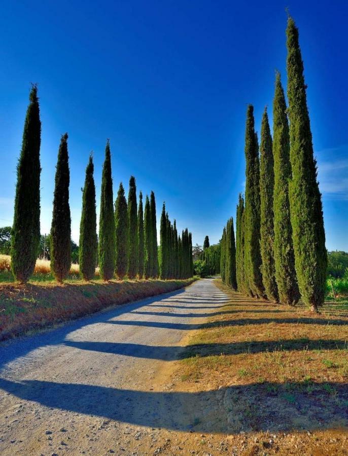 Agriturismo Boschetto Di Montiano Montiano  Kültér fotó